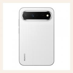 Huawei Pura X View