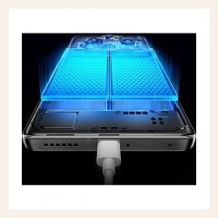 vivo X100 Pro